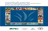 Consulta de expertos sobre indicadores de nutrición para ... · alimentación y la nutrición se ha establecido para medir, investigar y promover la biodiversidad y la nutrición.