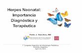 Herpes Neonatal: Importancia Diagnósticay Terapéutica presentaciones... · NEONATAL HSV: OUTCOME* Disease Classification ACV ACV % Mortality % Morbidity* No Therapy SEM 0 0 0-2