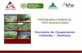 Convenio de Cooperación Colombo – Alemana - COMITE... · Conservación, reforestación, capacitación y sensibilización ambiental. Seguridad Alimentaria y Nutricional. Biodiversidad.