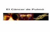 El càncer de pulmó - premisrecerca.uvic.catpremisrecerca.uvic.cat/sites/default/files/webform... · Treball’de’Recerca:’El’càncer’de’pulmó’’ 6 CAPÍTOL 1 1.Part