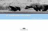 EL CANADÁ SALVAJE - malaikaviatges.com · Atravesaremos el río Ottawa para llegar a la Provincia de Quebec y hacia los montes Laurentinos, llenos de lagos y montes que son el paraíso