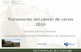 Tratamiento del cáncer de cérvix 2016basesbiologicascancer.com/wp-content/uploads/2016/05/1200_M1_Dra.GomezBernal.pdf · Las tasas de cáncer de cérvix han disminuido en países