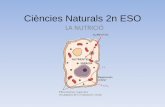 Ciències Naturals 2n ESO - experimentals-insaiguaviva.org · LA NUTRICIÓ •La Fermentació: quan falta oxigen les cèl·lules poden aprofitar una part de l’energia dels aliments