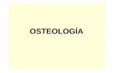 OSTEOLOGÍA - cpu.usmp.edu.pecpu.usmp.edu.pe/intranetcpu/ppt02/2-Lima-Zerillo-Anatomia-Osteologia.pdf · OSTEOLOGÍA • La osteología, es la rama de la anatomía descriptiva que