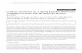 Cynodon nlemfuensis Vanderhyst in soils contaminated by ...scielo.sld.cu/pdf/rcta/v23n4/rcta07414.pdf · Las plantas son organismos sedentarios, base de la cadena alimenticia y sensible