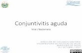 Conjuntivitis aguda - MINSAL · Generalidades •La conjuntivitis puede tener muchas causas. Estas causas incluyen virus, bacterias, alérgenos, uso de lentes de contacto (especialmente