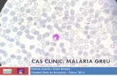 CAS CLÍNIC: MALÀRIA GREU - acmcb.es fileÍndex Presentació del cas clínic Malària Epidemiologia Cicle biològic Profilaxi Diagnòstic Malària greu Tractament farmacològic