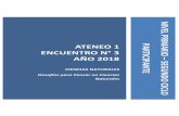 ATENEO 1 ENCUENTRO N° 3 Año 2018nuestraescuela.educacion.gov.ar/wp-content/uploads/2018/08/Nivel... · Las secuencias didácticas como herramientas para el trabajo con capacidades