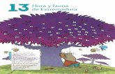 Flora y fauna de Extremadura - oupe.esoupe.es/es/mas-areas-educacion/secundaria/ciencias-de-la-naturaleza... · Flora y fauna de Extremadura237 Nuestra fauna Extremadura comprende