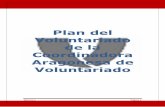 Plan del Voluntariado de la Coordinadora Aragonesa de ... · valores de la Coordinadora Aragonesa de Voluntariado. En 2008 retomamos la elaboración del Plan Estratégico que se trabaja