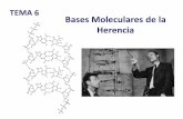 TEMA 6 Bases Moleculares de la Herencia - wpd.ugr.eswpd.ugr.es/~rnavajas/wp-content/uploads/2017/03/Tema_6_GI.pdf · ESTRUCTURA SECUNDARIA: configuración tridimensional estable del