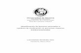 Universidad de Navarra - dadun.unav.edudadun.unav.edu/bitstream/10171/38798/1/Tesis_LuisEstebanHernándezSoto.pdf · 2 Real Academia Española Online (2001). Diccionario de la Lengua