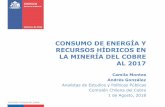 CONSUMO DE ENERGÍA Y RECURSOS HÍDRICOS EN LA MINERÍA …³n informe energía y... · HIDROMETALURGIA Coeficiente unitario vs procesamiento de mineral 2017 A mayor escala de procesamiento
