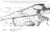 CURSO DE INICIACIÓN AL DIBUJO E ILUSTRACIÓN BOTÁNICA …aicav.es/wp-content/uploads/2016/05/curso-ilustracion-botanica.pdf · lápiz y a tinta y de la acuarela aplicada a la ilustración