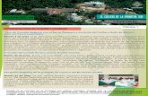 BOLETÍN NO. 35 BOLETÍN NO. 54200.34.194.65/ecosur2/img/files/BOLETIN 54 Junio 2017 .pdf · macroalgas-corales en el Caribe mexicano” a cargo del Dr. Julio Espinoza Ávalos. En