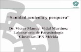 Dr. Victor Manuel Vidal Martínez Laboratorio de ...congresos.fmvz.unam.mx/acua/pdf/2015/memorias/Sala 1/26 Nov/Sanidad... · Lo que queremos evitar con la Inocuidad Alimentaria Peligros