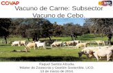 Presentación de PowerPoint - uco.es · Evolución del censo de vacas en España. 2001/2012. Máster de Zootecnia y gestión sostenible, 13 de marzo de 2014 Evolución del número