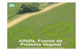 LA DESHIDRATACIÓN - Cooperativas Agro-alimentarias · de secado de forrajes En Europa, en 1.978 se establecen ayudas: Nivel bajo de ayuda Nivel alto de ayuda artificial Secado al