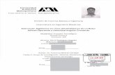 Azea potza leo - División de Ciencias Básicas e Ingenieríacbi.azc.uam.mx/work/models/CBI/Documentos/Licenciaturas/IngMecanica/... · los parámetros del vector de excentricidad
