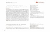Consenso mexicano para el Renán A Góngora-Biachi ... · Paroxysmal nocturnal hemoglobinuria (PNH) is a consequence of clonal expansion of one or several hematopoietic stem cells