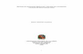 SÍNTESIS DE DERIVADOS INDÓLICOS Y ESTUDIO DE LOS ÍNDICES ...bdigital.unal.edu.co/680/1/43641507_2009.pdf · condensación de Claisen-Schmidt involucraron un medio básico, reflujo