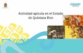 Actividad apícola en el Estado de Quintana Roo · Apicultura Productos que se obtiene de la colmena - Miel - Jalea real - Propóleo, - Cera - Polen En su gran mayoría la actividad