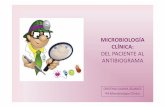 SESION GENERAL [Modo de compatibilidad] · microbiologÍa clÍnica: del paciente al antibiograma cristina gaona Álvarez r4 microbiología clínica