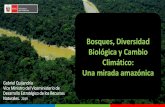 Bosques, Diversidad Biológica y Cambio Climático: Una ... · Avances en las políticas públicas ambientales Instrumentos normativos Instrumentos de planificación Instrumentos