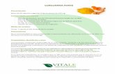 FT Curcumina Forte - vitaleproductos.com · CURCUMINA FORTE Presentación Botes de 60 cápsulas vegetales (hipromelosas) de 540 mg. Composición (por cápsula) - 300 mg. de Extracto