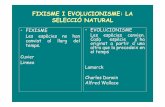 FIXISME I EVOLUCIONISME: LA SELECCIÓ NATURAL · FIXISME I EVOLUCIONISME: LA SELECCIÓ NATURAL • FIXISME Les espècies no han canviat al llarg del temps. Cuvier • EVOLUCIONISME