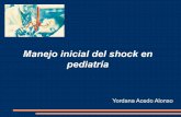 Manejo inicial del shock en pediatría - osieec.osakidetza.eus inicial del shock en... · Pérdidas insensibles 3er espacio DISTRIBUTIVO Disminución resistencias vasculares + vasodilatación