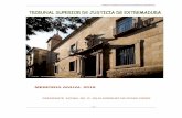 MEMORIA ANUAL 2015 - poderjudicial.es SUPERIORES DE JUSTICIA/TSJ... · el Teniente Fiscal del Tribuna Supremo, Luis Navajas, y el Presidente del TSJ de Extremadura Julio Márquez