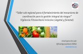 “Taller sub regional para el fortalecimiento del mecanismo de · Principales Cultivos en la región de Centroamérica . Objetivos Estratégicos – Área de Sanidad Vegetal: Fortalecer