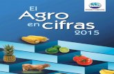Autoridades del Ministerio de Agricultura, Ganadería y ... · Incluye únicamente actividades de campo de los principales cultivos Fuente: Estimaciones DIPLAN-MAGA- con datos del