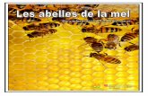 LES ABELLES DE LA MEL - xtec.cat · facilitar també la descoberta, per part de l'apicultor, del paper fonamental que en l'actualitat poden tenir les seves abelles en la recuperació