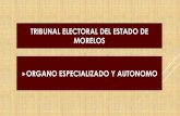 TRIBUNAL ELECTORAL DEL ESTADO DE MORELOS ORGANO ...impepac.mx/wp-content/uploads/2017/02/Tribunal-Electoral-del-Estado-de... · Cultivar con especialidad una rama determinada de una