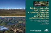 Mejoramiento del manejo y consolidación de áreas ...cebem.org/cmsfiles/publicaciones/consolidacion_areas_protegidas.pdf · Mejoramiento del manejo y consolidación de áreas protegidas
