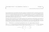 GEOMETRIA Y ALGEBRA LINEAL 2 TEMA DIAGONALIZACIÓNmaperez.net/documents/GAL2-diagonalizacion.pdf · calcular la dimensión del núcleo de Tsin necesidad de describir el subespacio