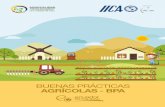 BUENAS PRÁCTICAS AGRÍCOLAS - BPA · El cuidado de la salud de los agricultores (sean campesinos u operarios agrícolas) dentro del predio. Uso de las herramientas y equipos de protección