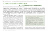 Cianobacterias y cianotoxinas - uruguay-ciencia.com · viven en las zonas iluminadas de aguas de lagos, ríos, arroyos, océanos y estuarios. También crecen en suelos húmedos, sobre