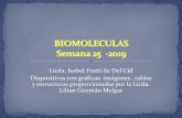 BIOMOLECULAS Semana 25 -2019 · BIOMOLECULAS Semana 25 -2019 Licda. Isabel Fratti de Del Cid Diapositivas con gráficas. imágenes , tablas y estructuras proporcionadas por la Licda.