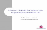 Laboratorio de Redes de Comunicaciones - 2007-08quegrande.org/apuntes/EI/3/RC/practicas/07-08/seminario_de_java.pdf · Octubre 2007 Laboratorio de Redes de Comunicaciones 2 Java: