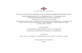 FACULTAD DE ESPECIALIDADES EMPRESARIALES INGENIERIA EN ...repositorio.ucsg.edu.ec/bitstream/3317/3177/1/T-UCSG-PRE-ESP-CFI-140.pdf · LLERENA como requerimiento parcial para la obtención