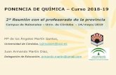 PONENCIA DE QUÍMICA Curso 2018-19 · Universidad de Córdoba PONENCIA DE QUÍMICA Córdoba 14 de mayo de 2019 1.Informe sobre las Directrices y Orientaciones de la materia de Química