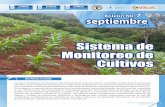 Sistema de Monitoreo de Cultivos - precios.maga.gob.gt Boletín SMC - Septiembre - 2013.pdf · estimar las pérdidas en los cultivos de maíz y frijol a nivel de los territorios.