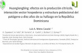 Huanglongbing: efectos en la producción citrícola ... · Huanglongbing: efectos en la producción citrícola, interacción vector hospederos y estructura poblacional del patógeno