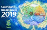 Calendario Biodinámico - aabda.com.araabda.com.ar/wp-content/uploads/Calendario-Biodinámico-2019.pdf · Agricultura Biológico-Dinámica La agricultura del futuro por Miguel Demarchi