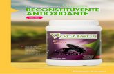 ANTIOXIDANTE RECONSTITUYENTE INFORMACIÓN NUTRICIONALnegovago.com/assets/pdf/Reconstituyente.pdf · maíz morado, con la fuente de colágeno y antioxidantes que tu cuerpo necesita.