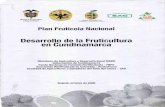 Desarrollo de Fruticultura en Cundinamarcabibliotecadigital.agronet.gov.co/bitstream/11348/6754/2/028.pdf · la producción de mango común y me- Estas condiciones conforman un cin-