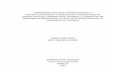 COMPRENSION, ANALISIS E INTERPRETACION DE LA ...bibliotecadigital.udea.edu.co/...2005_ComprensionDidacticasSociales.pdf2 comprension, analisis e interpretacion de la conceptualizaciÓn